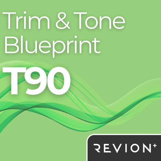 T90 PLAN